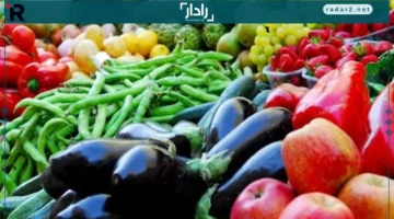 ارتفاع سعر الطماطم إلى 6 جنيهات في كفر الشيخ الأربعاء 12 نوفمبر
